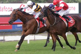 NZB graduates made up the First Four of the Gr. 1 New Zealand Vodafone Derby with Vin De Dance taking the top honours. Photo: Trish Dunell.